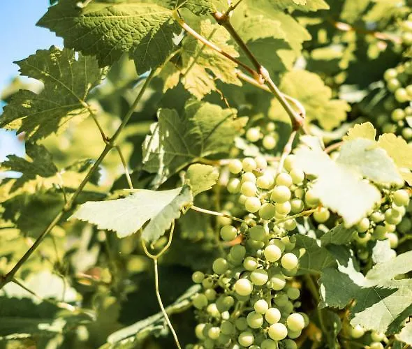 Сasa de vacaciones Le Clos De Chenac *